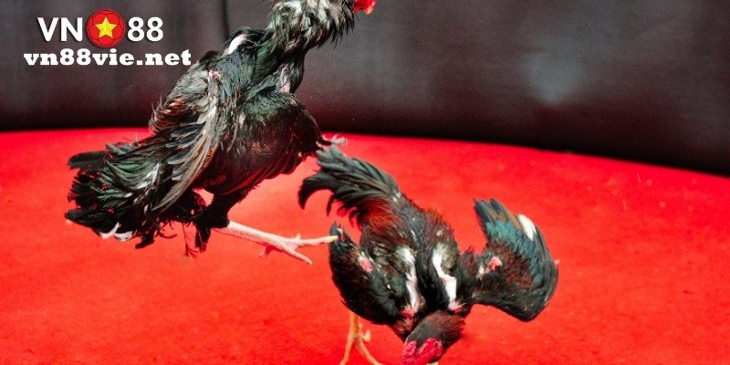 Phương thức chuyển khoản ngân hàng được sử dụng phổ biến nhất